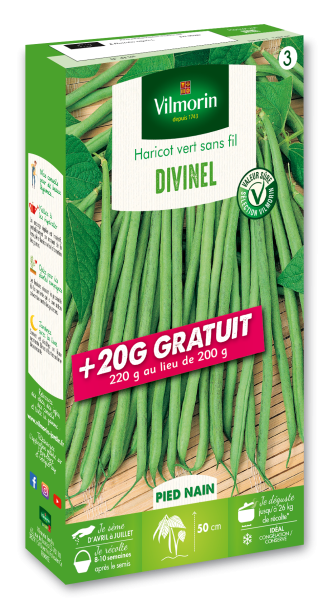 Légumes Secs - Haricot Nain Vert Divinel + 20 g Offert - face recto